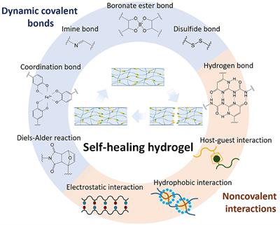 Synthesis and Biomedical Applications of Self-healing Hydrogels